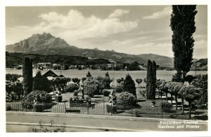 Black and white photo of gardens by a lake